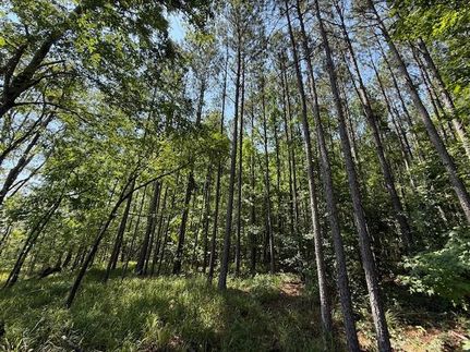 Recreational Property for sale in Elbert County, Georgia