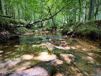 Land for sale in Decatur County, Tennessee