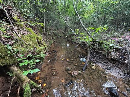 Undeveloped Land for sale in Talbot County, Georgia