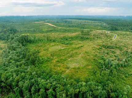 Farm and Ranch for sale in Baldwin County, Alabama