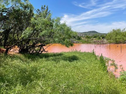 Timberland Property for sale in Taylor County, Texas