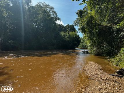 Timberland Property in Dallas County, Alabama