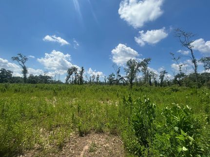 Land for sale in Mobile County, Alabama