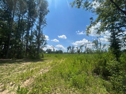 Land for sale in Mobile County, Alabama