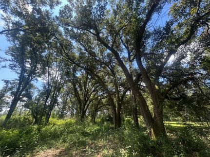 Recreational Property for sale in Mobile County, Alabama