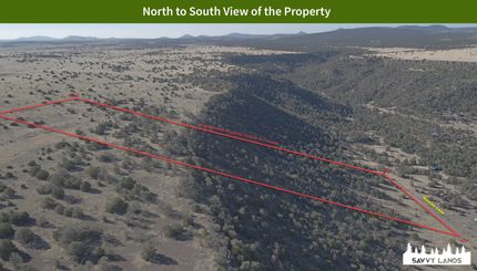 Undeveloped Land for sale in Catron County, New Mexico