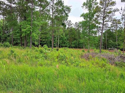 Undeveloped Land in Fairfield County, South Carolina