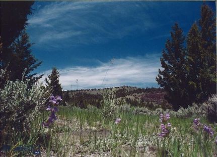 Farm and Ranch for sale in Silver Bow County, Montana