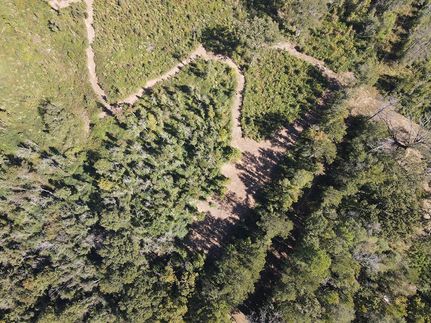 Farm and Ranch in Simpson County, Mississippi