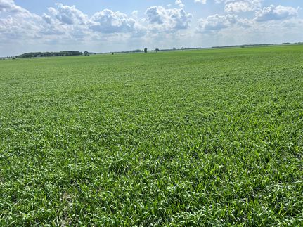 Land for sale in Pennington County, Minnesota