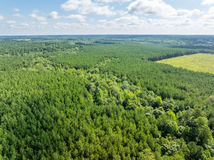 Recreational Property for sale in Union Parish, Louisiana