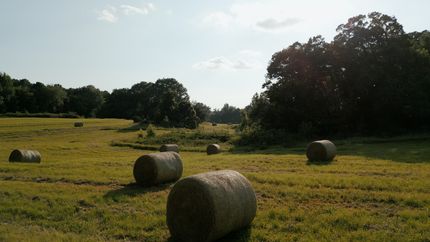 Land for sale in Crockett County, Tennessee