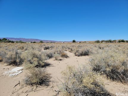 Undeveloped Land for sale in Lyon County, Nevada