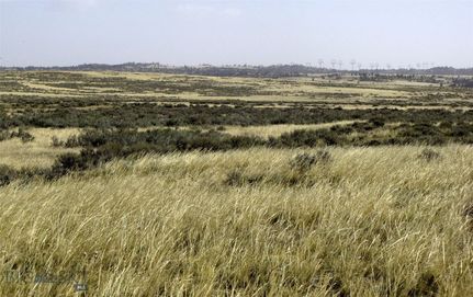 Undeveloped Land for sale in Yellowstone County, Montana