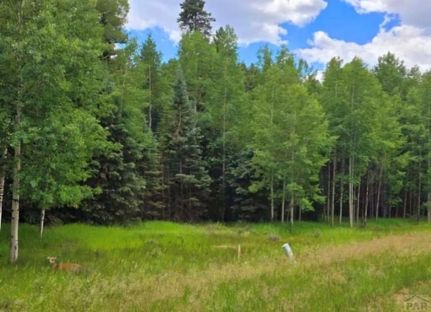 Undeveloped Land for sale in Teller County, Colorado