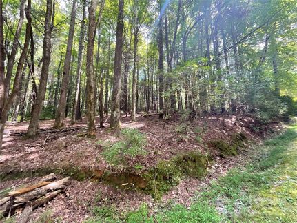 Land for sale in Transylvania County, North Carolina