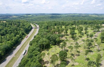 Land for sale in Jefferson County, Pennsylvania