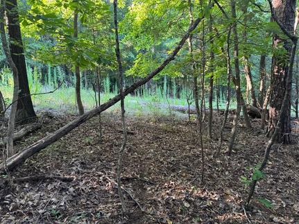 Undeveloped Land for sale in Spartanburg County, South Carolina