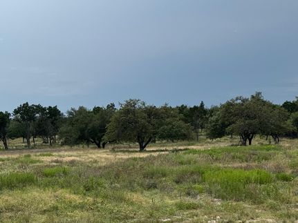 Farm and Ranch for sale in Hays County, Texas