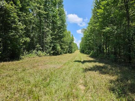Land for sale in Webster Parish, Louisiana
