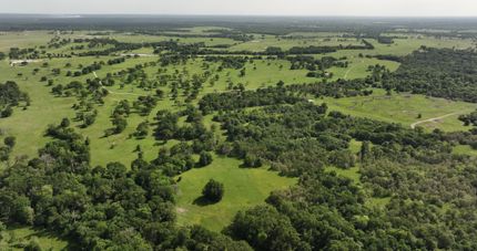Undeveloped Land for sale in Madison County, Texas