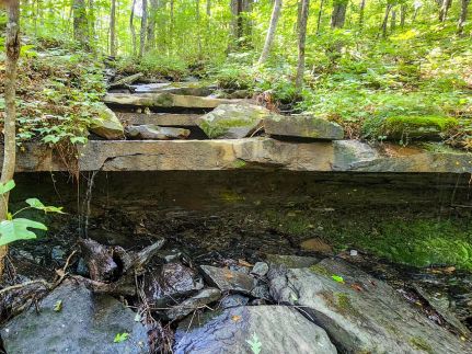 Land for sale in Scott County, Tennessee