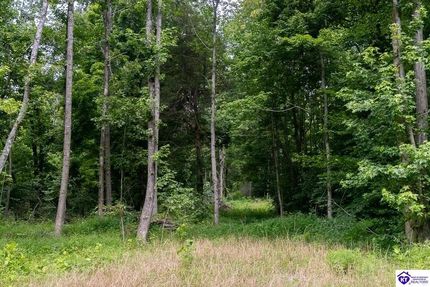 Undeveloped Land for sale in Ohio County, Kentucky