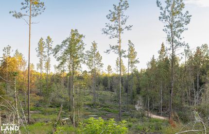 Farm and Ranch in Baldwin County, Alabama
