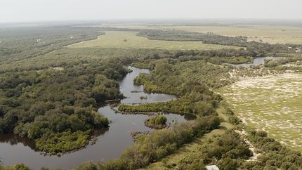 Farm and Ranch for sale in Dimmit County, Texas