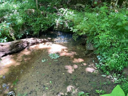 Farm and Ranch for sale in DeKalb County, Alabama
