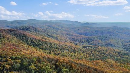 Undeveloped Land in Gilmer County, Georgia