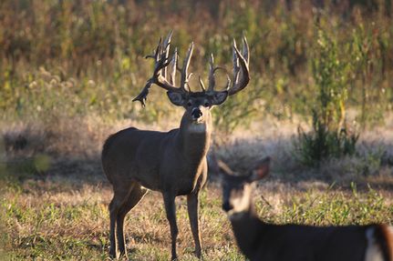 Farm and Ranch for sale in Jefferson County, Kansas