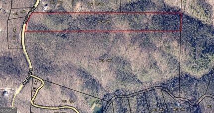 Undeveloped Land in Gilmer County, Georgia