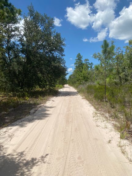 Timberland Property in Putnam County, Florida