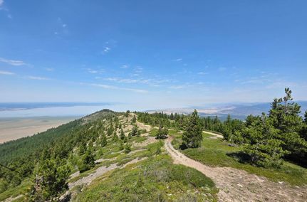 Land for sale in Modoc County, California