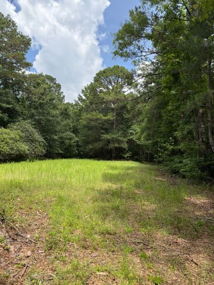 Land for sale in Monroe County, Alabama