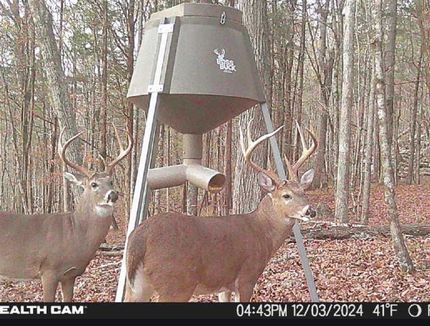 Farm and Ranch for sale in Jackson County, Alabama