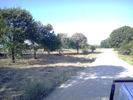 Undeveloped Land for sale in Wise County, Texas