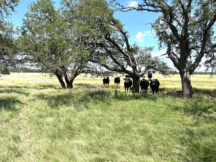 Farm and Ranch for sale in Gillespie County, Texas
