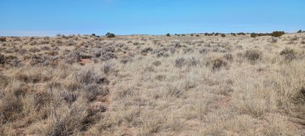 Undeveloped Land for sale in Apache County, Arizona