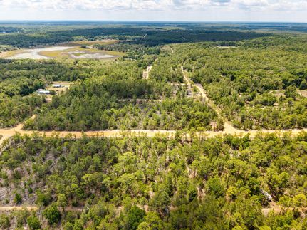 Undeveloped Land in Putnam County, Florida