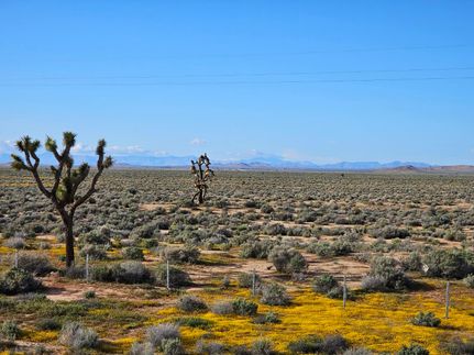 Land for sale in Kern County, California