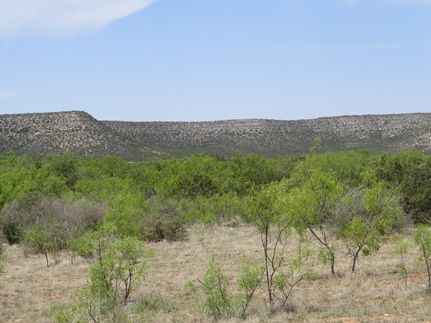 Hunting Property for sale in Coke County, Texas