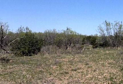 Farm and Ranch for sale in Coke County, Texas