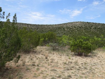 Land for sale in Coke County, Texas