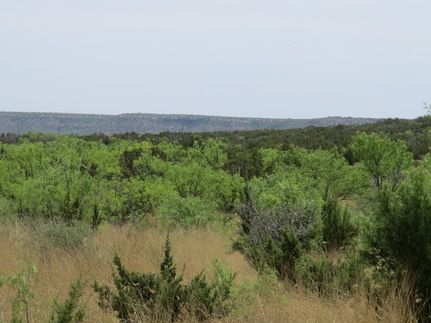 Hunting Property for sale in Coke County, Texas