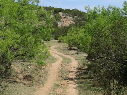 Land for sale in Coke County, Texas