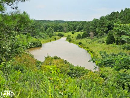 Hunting Property in Marion County, Alabama