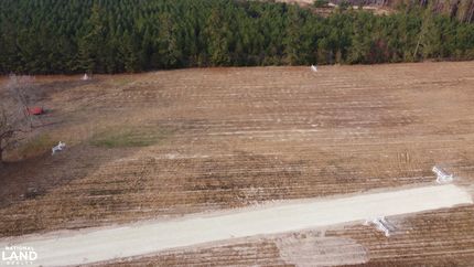 Undeveloped Land in Berkeley County, South Carolina