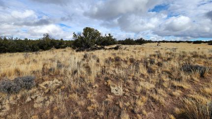 Undeveloped Land for sale in Apache County, Arizona